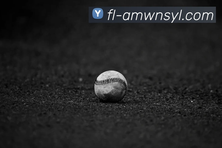 威尼斯人官网APP 封面图